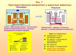 Рисунок 7